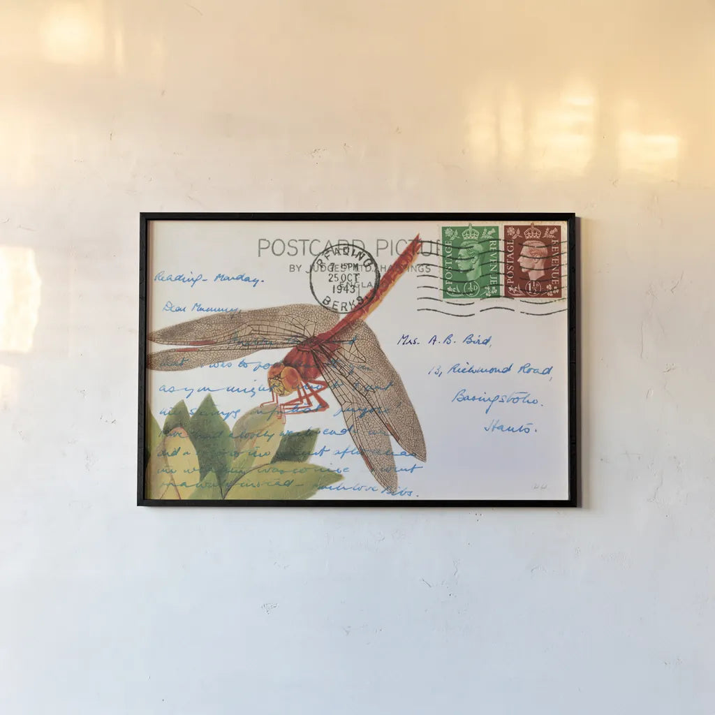 Dragonfly Postcard II by Deborah Revell. shown as a paper print in a black flame. Available as a archival giclee rolled canvas, fine art paper, or poster print. SKU 91115i.