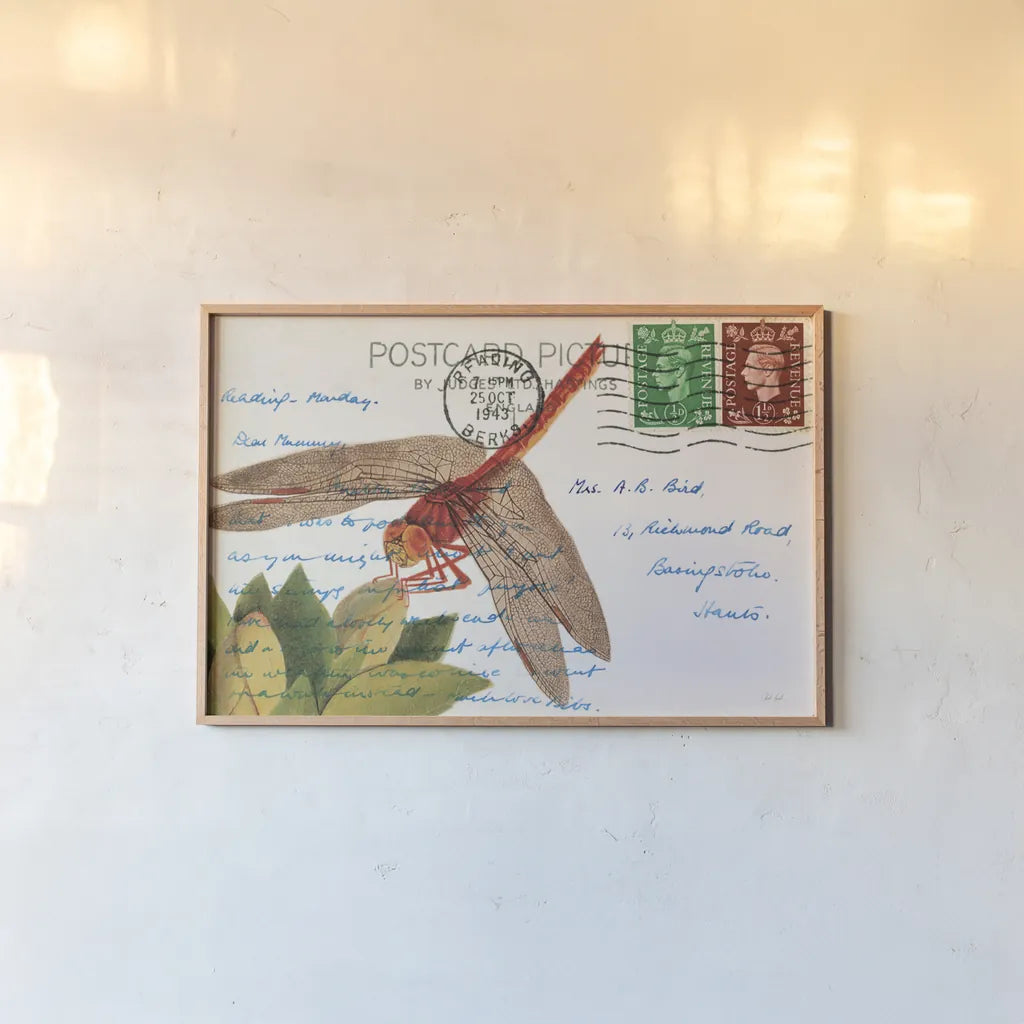 Dragonfly Postcard II by Deborah Revell. shown as a paper print in a natural frame. Available as a archival giclee rolled canvas, fine art paper, or poster print. SKU 91115i.