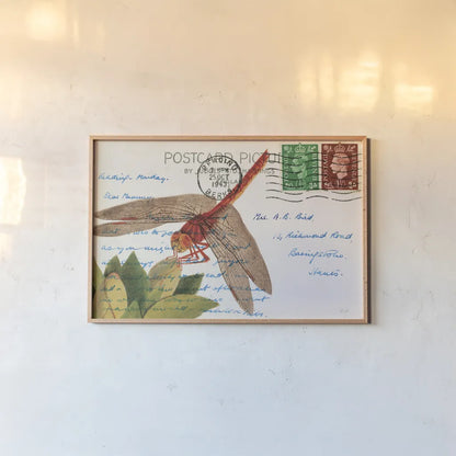 Dragonfly Postcard II by Deborah Revell. shown as a paper print in a natural frame. Available as a archival giclee rolled canvas, fine art paper, or poster print. SKU 91115i.