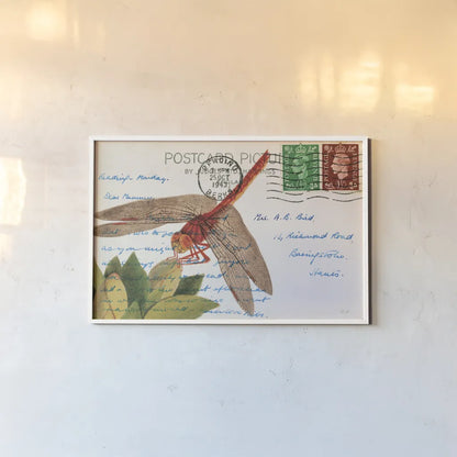 Dragonfly Postcard II by Deborah Revell. shown as a paper print in a white frame. Available as a archival giclee rolled canvas, fine art paper, or poster print. SKU 91115i.