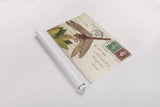 Dragonfly Postcard II Cream by Deborah Revell. shown as a rolled paper print. Available as archival giclee rolled canvas, fine art paper, or poster print. SKU 92751i.