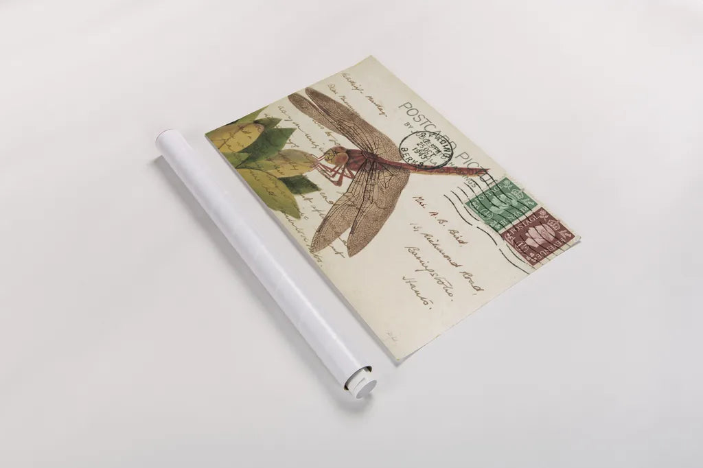 Dragonfly Postcard II Cream by Deborah Revell. shown as a rolled paper print. Available as archival giclee rolled canvas, fine art paper, or poster print. SKU 92751i.