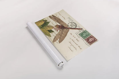 Dragonfly Postcard II Cream by Deborah Revell. shown as a rolled paper print. Available as archival giclee rolled canvas, fine art paper, or poster print. SKU 92751i.