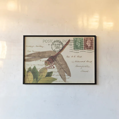 Dragonfly Postcard II Cream by Deborah Revell. shown as a paper print in a black flame. Available as a archival giclee rolled canvas, fine art paper, or poster print. SKU 92751i.