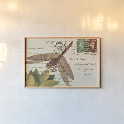 Dragonfly Postcard II Cream by Deborah Revell. shown as a paper print in a natural frame. Available as a archival giclee rolled canvas, fine art paper, or poster print. SKU 92751i.