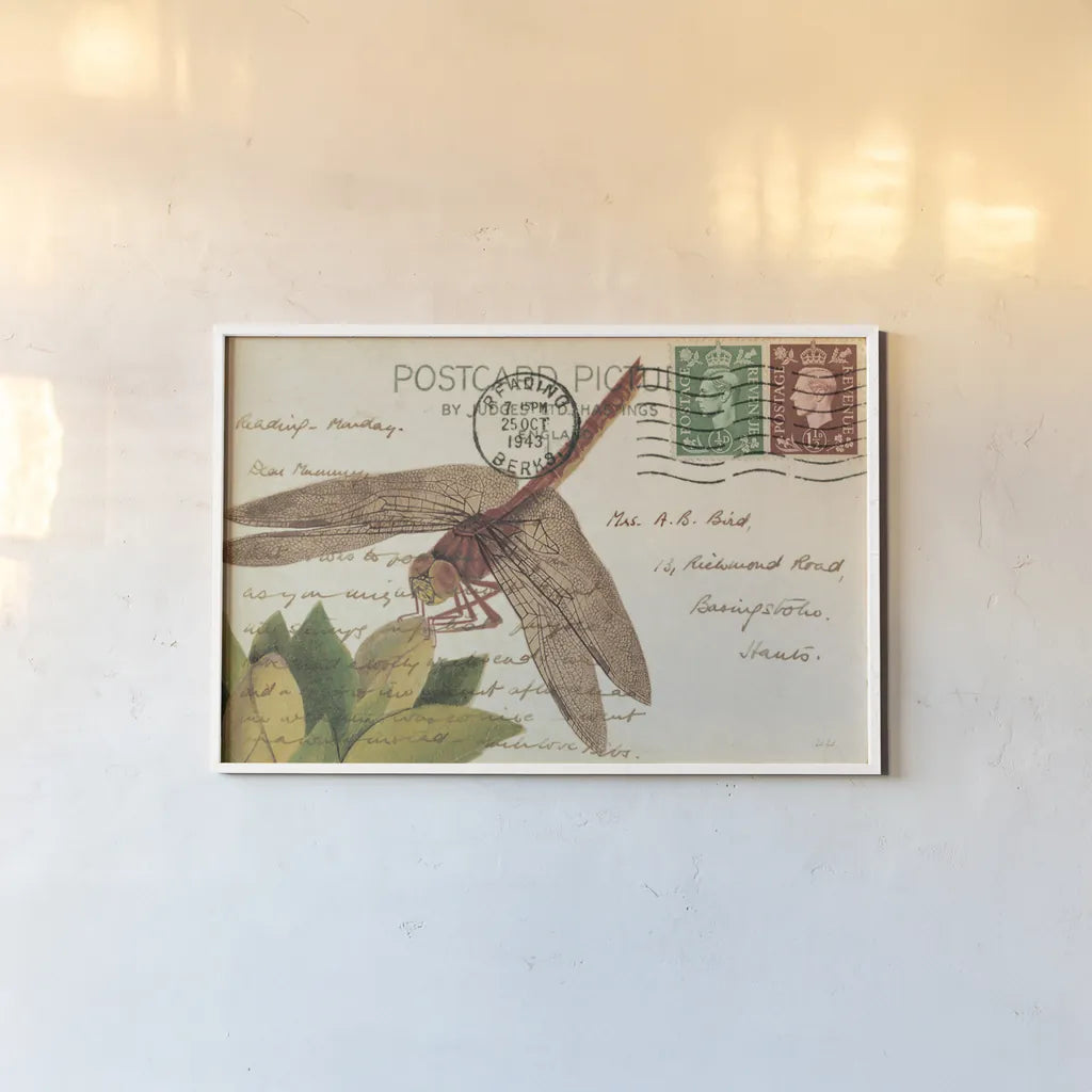 Dragonfly Postcard II Cream by Deborah Revell. shown as a paper print in a white frame. Available as a archival giclee rolled canvas, fine art paper, or poster print. SKU 92751i.