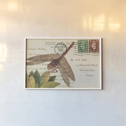 Dragonfly Postcard II Cream by Deborah Revell. shown as a paper print in a white frame. Available as a archival giclee rolled canvas, fine art paper, or poster print. SKU 92751i.