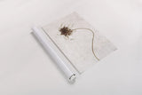 Dried Flower I by Deborah Revell. shown as a rolled paper print. Available as archival giclee rolled canvas, fine art paper, or poster print. SKU 93396h.