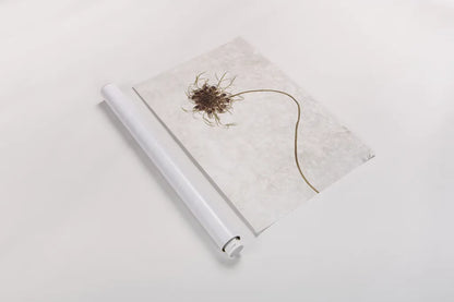 Dried Flower I by Deborah Revell. shown as a rolled paper print. Available as archival giclee rolled canvas, fine art paper, or poster print. SKU 93396h.