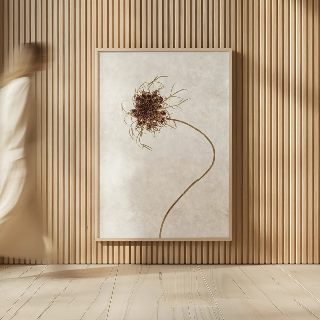 Dried Flower I by Deborah Revell. shown as over sized large wall art. Available as an archival giclee rolled canvas, fine art paper, or poster print. SKU 93396h.
