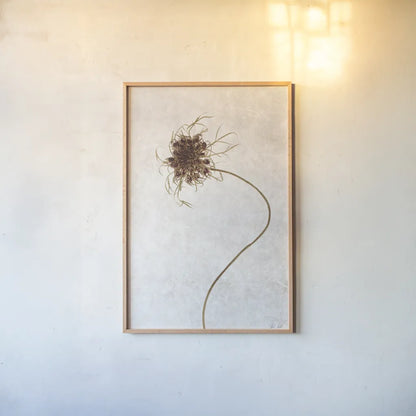Dried Flower I by Deborah Revell. shown as a paper print in a natural frame. Available as a archival giclee rolled canvas, fine art paper, or poster print. SKU 93396h.