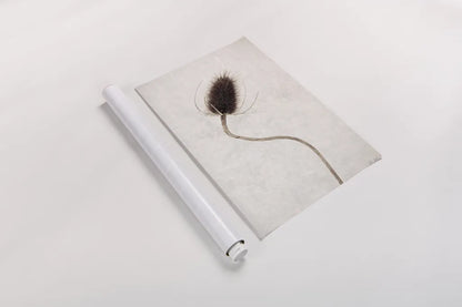 Dried Flower II by Deborah Revell. shown as a rolled paper print. Available as archival giclee rolled canvas, fine art paper, or poster print. SKU 93397h.