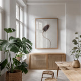 Dried Flower II by Deborah Revell. shown as a print in a natural wood frame in a dining room. Available as a archival giclee rolled canvas, fine art paper, or poster print. SKU 93397h.