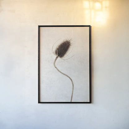 Dried Flower II by Deborah Revell. shown as a paper print in a black flame. Available as a archival giclee rolled canvas, fine art paper, or poster print. SKU 93397h.