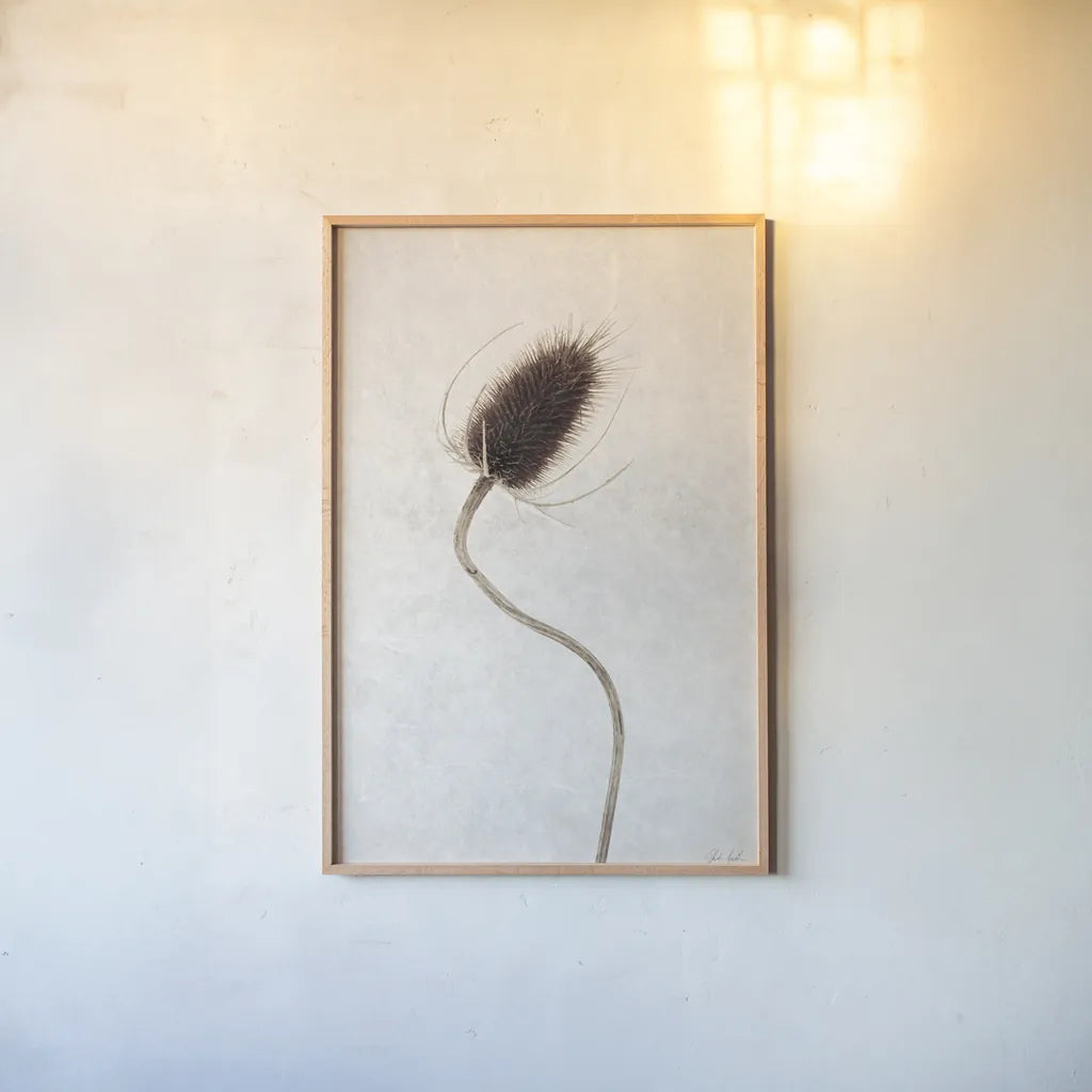 Dried Flower II by Deborah Revell. shown as a paper print in a natural frame. Available as a archival giclee rolled canvas, fine art paper, or poster print. SKU 93397h.