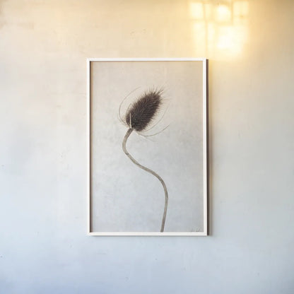 Dried Flower II by Deborah Revell. shown as a paper print in a white frame. Available as a archival giclee rolled canvas, fine art paper, or poster print. SKU 93397h.