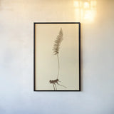 Eastdown Fern II by Deborah Revell. shown as a paper print in a black flame. Available as a archival giclee rolled canvas, fine art paper, or poster print. SKU 104176h.