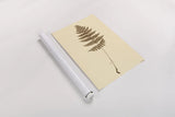 Eastdown Fern III by Deborah Revell. shown as a rolled paper print. Available as archival giclee rolled canvas, fine art paper, or poster print. SKU 104177h.