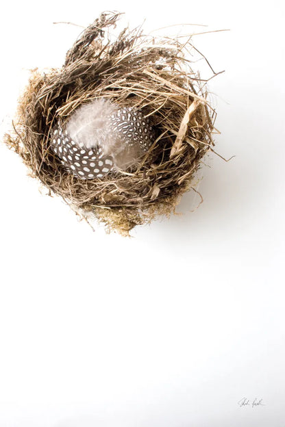 Empty Nest by Deborah Revell. SKU 93398h. Archival Giclee Fine art print for wall decor.