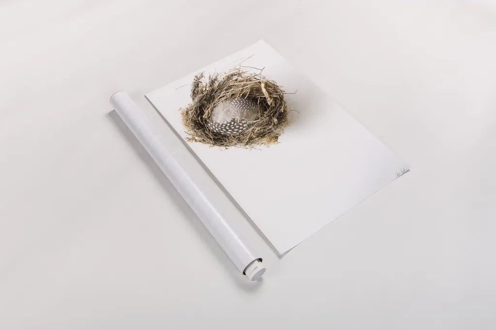 Empty Nest by Deborah Revell. shown as a rolled paper print. Available as archival giclee rolled canvas, fine art paper, or poster print. SKU 93398h.