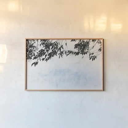 Eucalyptus by Deborah Revell. shown as a paper print in a natural frame. Available as a archival giclee rolled canvas, fine art paper, or poster print. SKU 93443i.