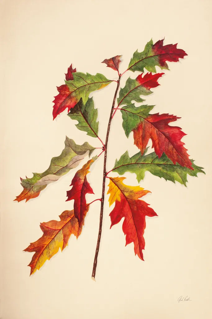 Fall Leaves I by Deborah Revell. SKU 96588h. Archival Giclee Fine art print for wall decor.