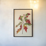 Fall Leaves I by Deborah Revell. shown as a paper print in a black flame. Available as a archival giclee rolled canvas, fine art paper, or poster print. SKU 96588h.