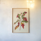 Fall Leaves I by Deborah Revell. shown as a paper print in a natural frame. Available as a archival giclee rolled canvas, fine art paper, or poster print. SKU 96588h.