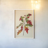 Fall Leaves I by Deborah Revell. shown as a paper print in a white frame. Available as a archival giclee rolled canvas, fine art paper, or poster print. SKU 96588h.