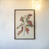 Fall Leaves I Muted by Deborah Revell. shown as a paper print in a black flame. Available as a archival giclee rolled canvas, fine art paper, or poster print. SKU 98636h.