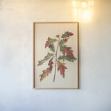 Fall Leaves I Muted by Deborah Revell. shown as a paper print in a natural frame. Available as a archival giclee rolled canvas, fine art paper, or poster print. SKU 98636h.