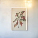 Fall Leaves I Muted by Deborah Revell. shown as a paper print in a white frame. Available as a archival giclee rolled canvas, fine art paper, or poster print. SKU 98636h.