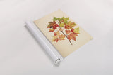 Fall Leaves II by Deborah Revell. shown as a rolled paper print. Available as archival giclee rolled canvas, fine art paper, or poster print. SKU 96589h.