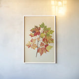 Fall Leaves II by Deborah Revell. shown as a paper print in a white frame. Available as a archival giclee rolled canvas, fine art paper, or poster print. SKU 96589h.