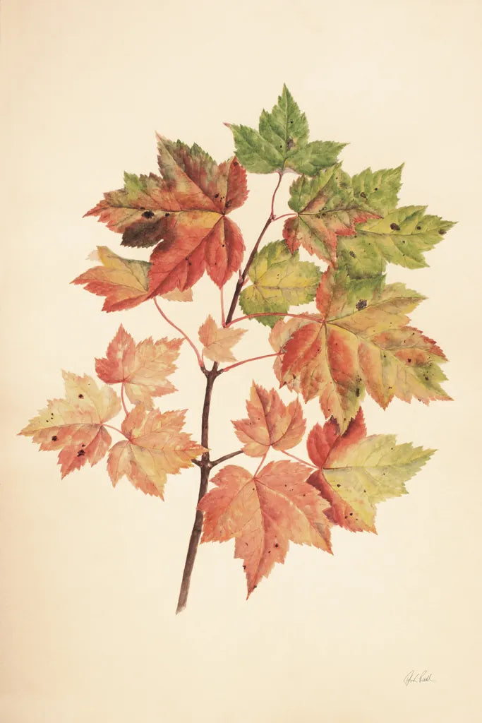 Fall Leaves II Muted by Deborah Revell. SKU 98637h. Archival Giclee Fine art print for wall decor.