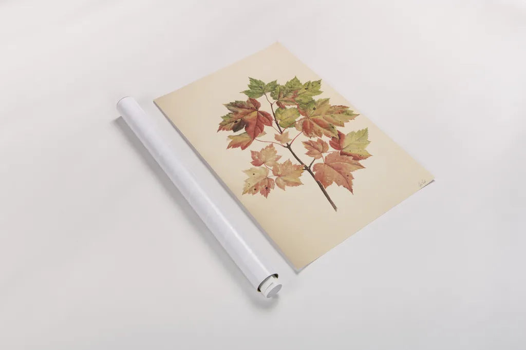 Fall Leaves II Muted by Deborah Revell. shown as a rolled paper print. Available as archival giclee rolled canvas, fine art paper, or poster print. SKU 98637h.