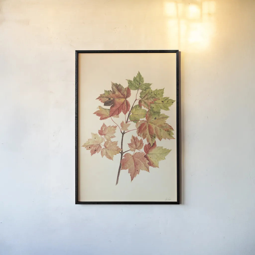 Fall Leaves II Muted by Deborah Revell. shown as a paper print in a black flame. Available as a archival giclee rolled canvas, fine art paper, or poster print. SKU 98637h.