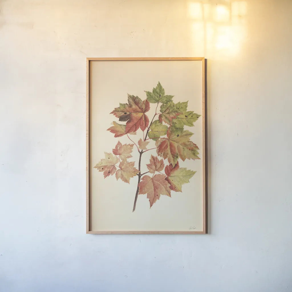 Fall Leaves II Muted by Deborah Revell. shown as a paper print in a natural frame. Available as a archival giclee rolled canvas, fine art paper, or poster print. SKU 98637h.