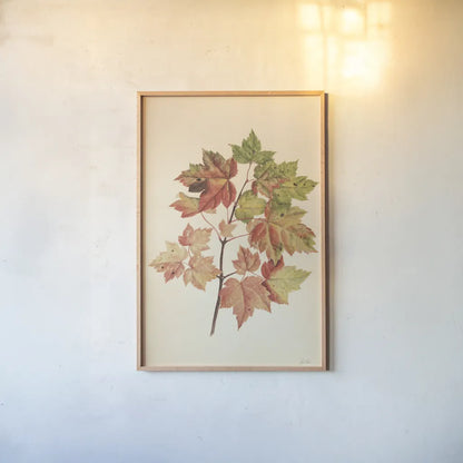 Fall Leaves II Muted by Deborah Revell. shown as a paper print in a natural frame. Available as a archival giclee rolled canvas, fine art paper, or poster print. SKU 98637h.
