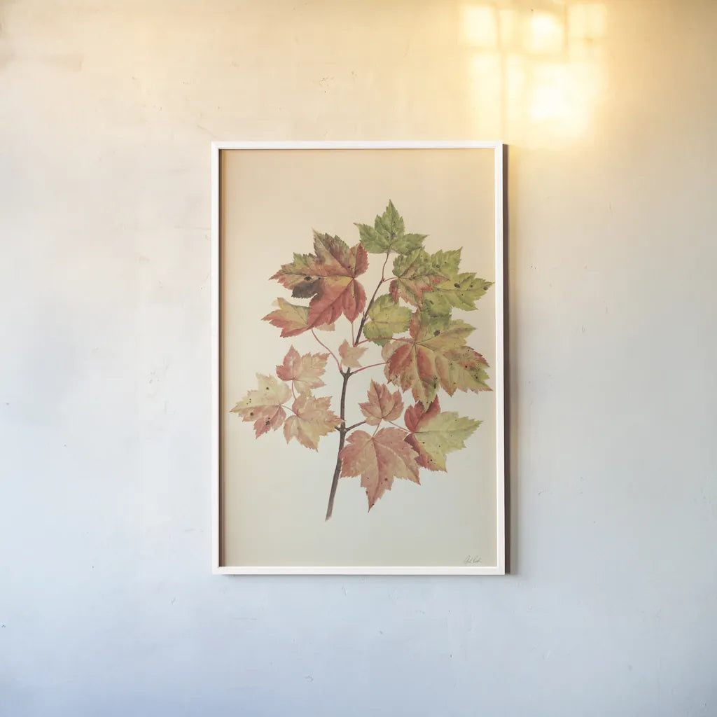 Fall Leaves II Muted by Deborah Revell. shown as a paper print in a white frame. Available as a archival giclee rolled canvas, fine art paper, or poster print. SKU 98637h.
