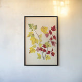 Fall Leaves III by Deborah Revell. shown as a paper print in a black flame. Available as a archival giclee rolled canvas, fine art paper, or poster print. SKU 96590h.