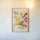 Fall Leaves III by Deborah Revell. shown as a paper print in a natural frame. Available as a archival giclee rolled canvas, fine art paper, or poster print. SKU 96590h.