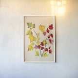 Fall Leaves III by Deborah Revell. shown as a paper print in a white frame. Available as a archival giclee rolled canvas, fine art paper, or poster print. SKU 96590h.
