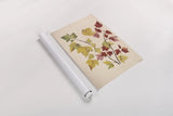 Fall Leaves III Muted by Deborah Revell. shown as a rolled paper print. Available as archival giclee rolled canvas, fine art paper, or poster print. SKU 98638h.