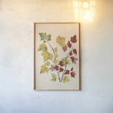 Fall Leaves III Muted by Deborah Revell. shown as a paper print in a natural frame. Available as a archival giclee rolled canvas, fine art paper, or poster print. SKU 98638h.