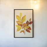 Fall Leaves IV by Deborah Revell. shown as a paper print in a black flame. Available as a archival giclee rolled canvas, fine art paper, or poster print. SKU 96591h.