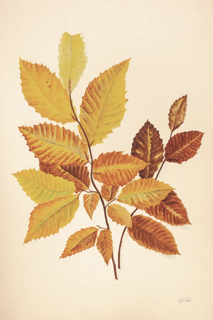 Fall Leaves IV Muted by Deborah Revell. SKU 98639h. Archival Giclee Fine art print for wall decor.