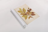 Fall Leaves IV Muted by Deborah Revell. shown as a rolled paper print. Available as archival giclee rolled canvas, fine art paper, or poster print. SKU 98639h.