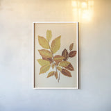 Fall Leaves IV Muted by Deborah Revell. shown as a paper print in a white frame. Available as a archival giclee rolled canvas, fine art paper, or poster print. SKU 98639h.