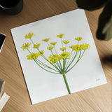 Fennel by Deborah Revell. Shown as a detailed flat fine art print, highlighting archival giclee quality. Available as an archival giclee rolled canvas, fine art paper, or poster print. SKU 104469a.
